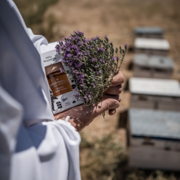 Traditional Artisanal Beekeeping in Crete Artisanal beekeeping process in Crete