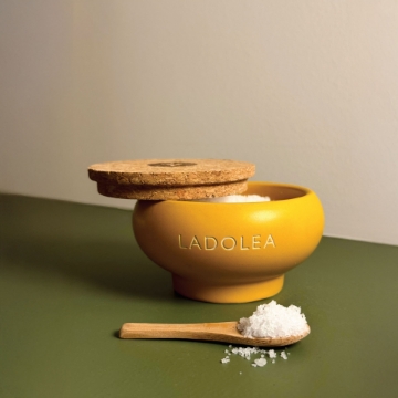 Fleur de Sel Sea Salt in Handmade Ceramic Bowl – Premium Gourmet Salt Fleur de Sel sea salt in a handmade ceramic bowl with natural texture"