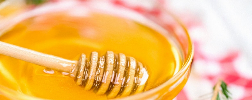 Greek Raw Fir Honey – Nature’s Antibiotic in a Jar Greek Raw Fir Honey – Nature’s Antibiotic in a Jar