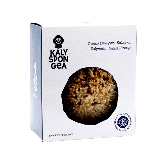 Kalyspongea Kalymnian Natural Sponge in premium white packaging, hand-harvested Greek sea sponge for luxury bath and skincare.