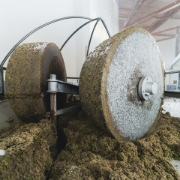 Traditional granite millstones grinding organic Koroneiki olives at Biolea Astrikas Estate in Crete.