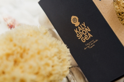 Picture for category Natural Sea Sponges